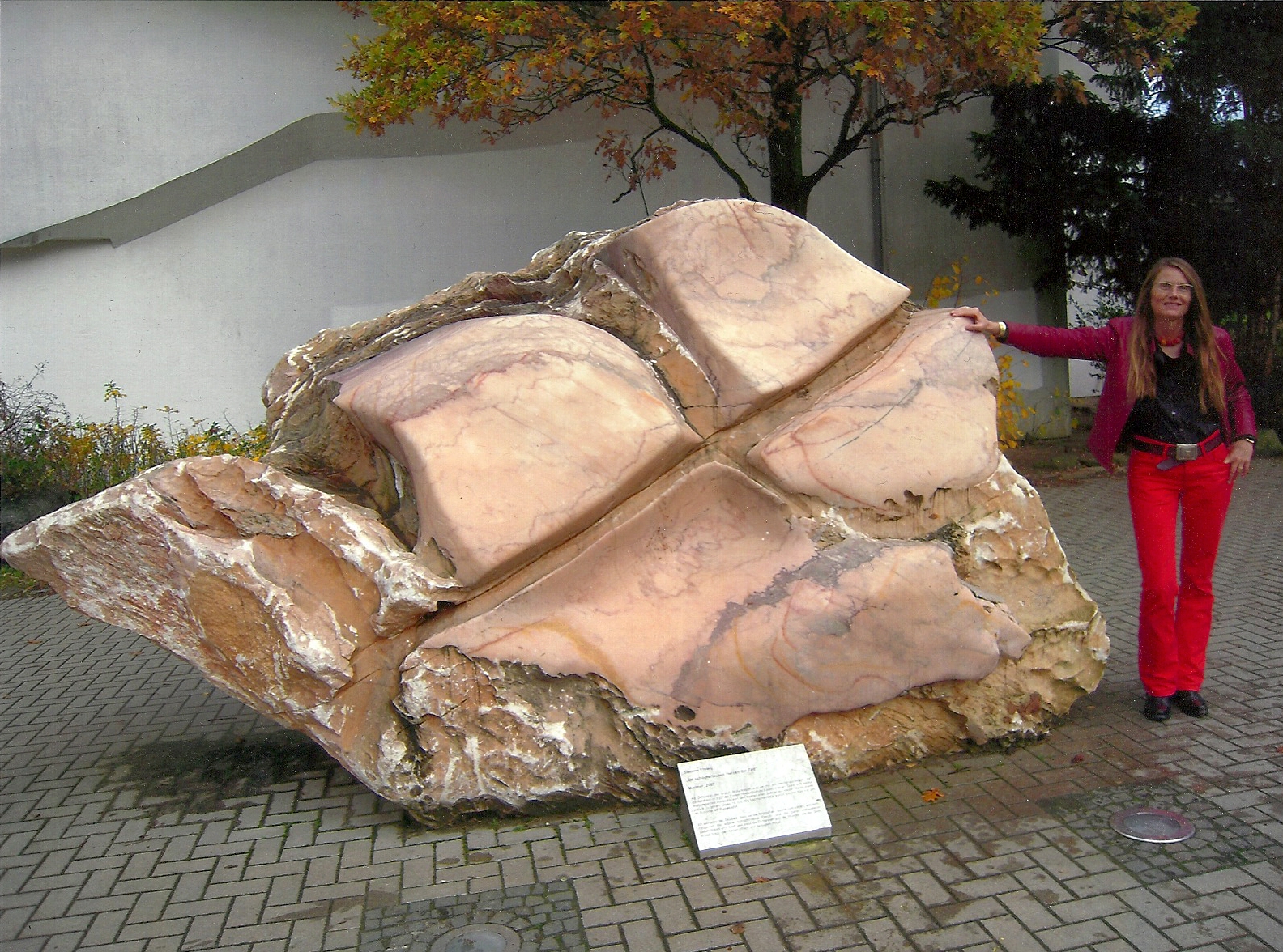 Team Member Simone Elsing